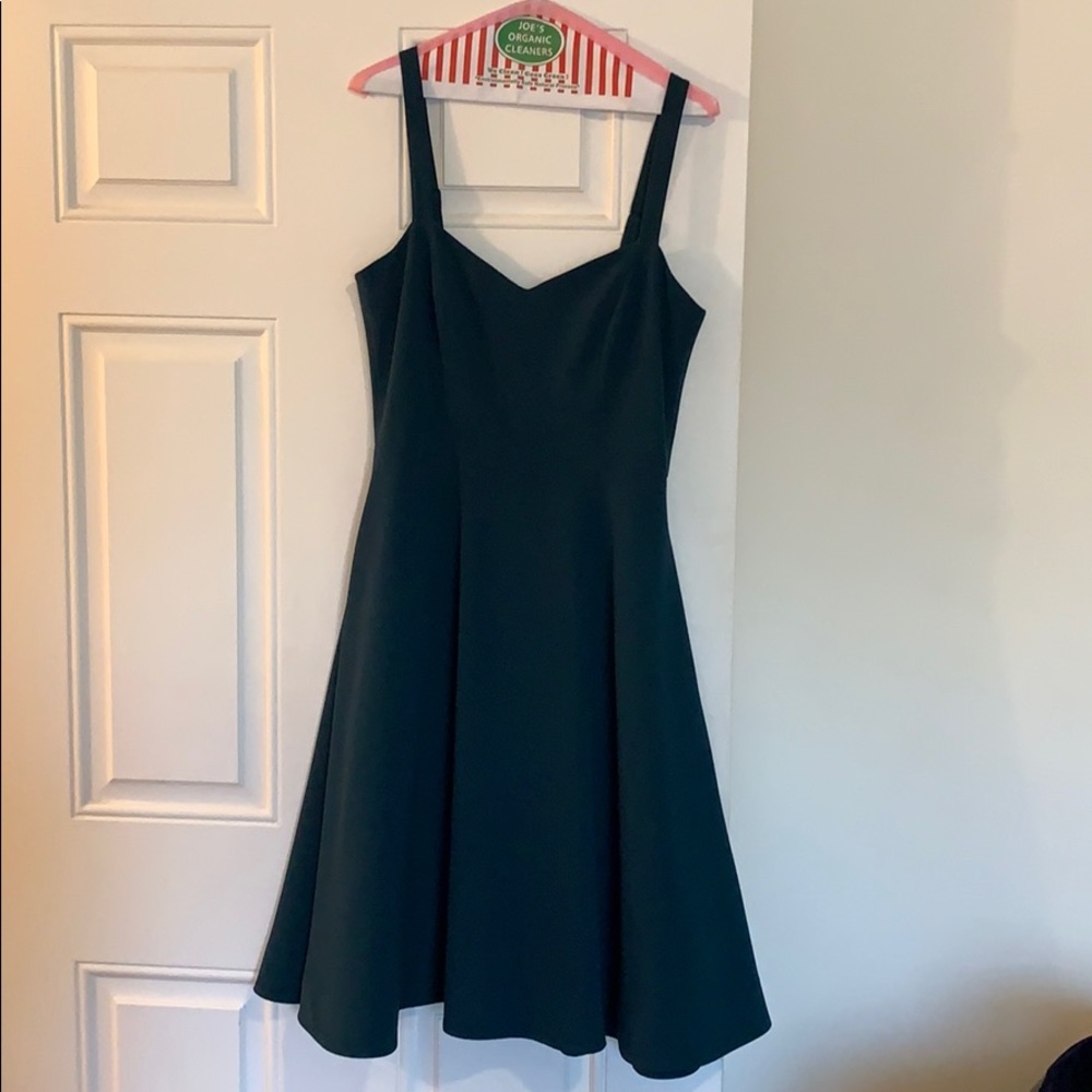 Dress the Population Catalina Fit & Flare Dress